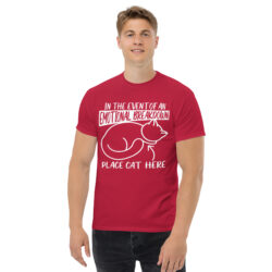 unisex classic tee cardinal front 6a42189be0d67