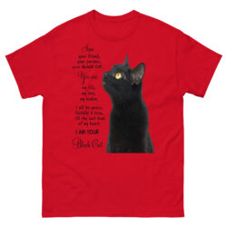 unisex classic tee red front 6a40e5b9a3eb2