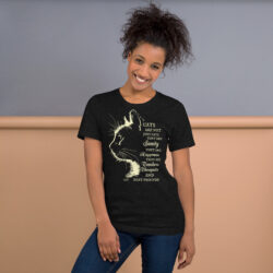 Cat Hair Don't Care Women's Funny Cat Lover t-Shirt 51 unisex staple t shirt black heather front 6a30f193f0e12