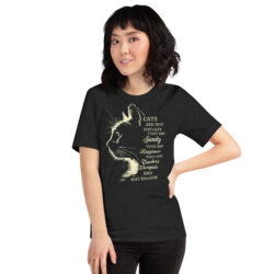 Cat Hair Don't Care Women's Funny Cat Lover t-Shirt 52 unisex staple t shirt black heather front 6a30f193f2395