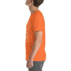 Cat Hair Don't Care Women's Funny Cat Lover t-Shirt 84 unisex staple t shirt orange left 6a30f194b4649