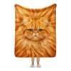 Cute Orange Cat Sherpa Throw Blanket – Fluffy Persian Cat Gift for Cat Lovers