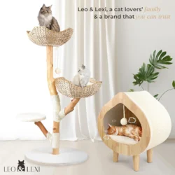 Cozy Wooden Cat House – Modern Indoor Cat Bed with Scratch Lounge, Soft Cushion and Private Sleeping Hideaway 8 Sbf6cb6b0aea24f4ab0cbe03f345034ecK